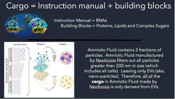 amniotic fluid description part 3